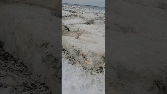 08.06.2023 весновка спуск на воду.mp4