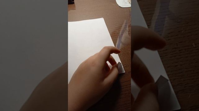 1000027012.mp4