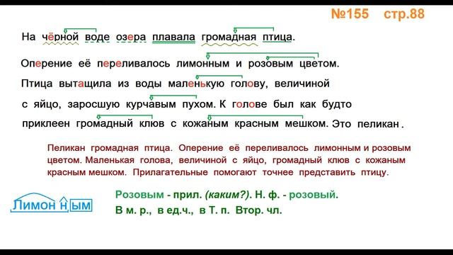 Руский язык учебник. 3 класс. Часть 2. Канакина В. П. Упраж.155 ответы