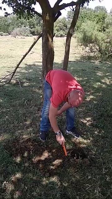 1000033009.mp4