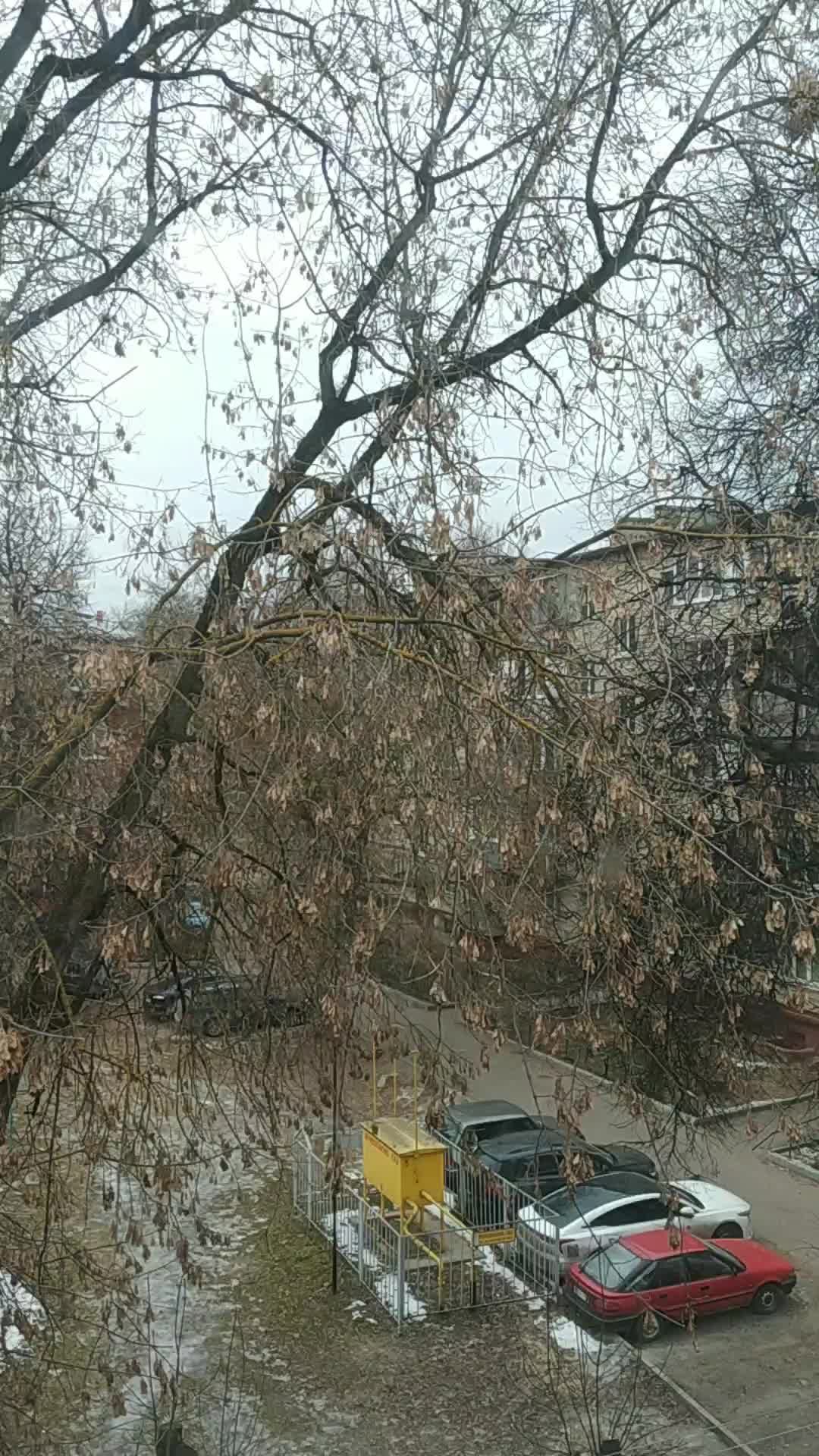Всем привет
