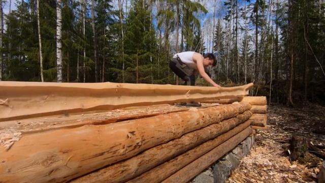 Строит самостоятельно бревенчатую хижину в лесу по технологиям п