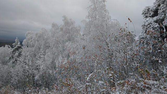 Белокуриха! пешком на Церковку! (5)