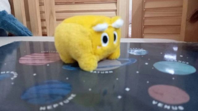 котик крутится