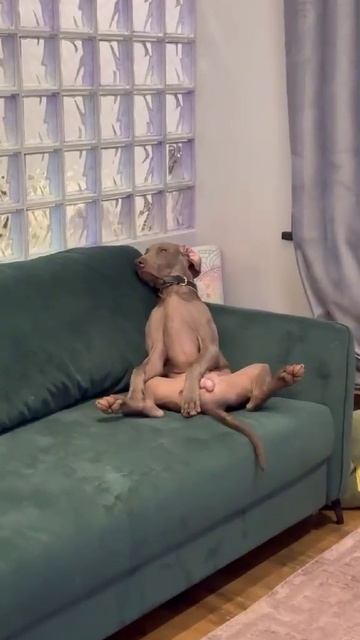 1000072170.mp4