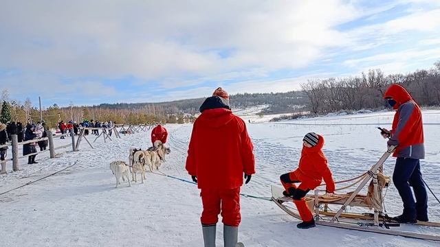 Лёша в санях