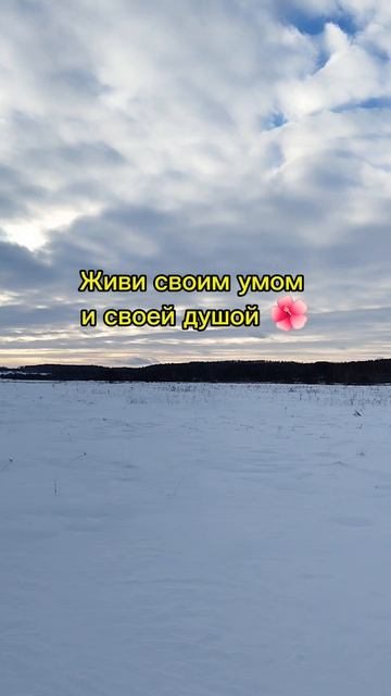 ум + душа #ум #душа #результат  #mind #soul #result #ГараевДамир #GaraevDamir #short #shorts