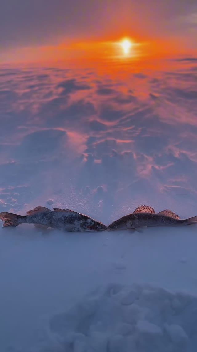 Поехала одна на рыбалку на снегоходе