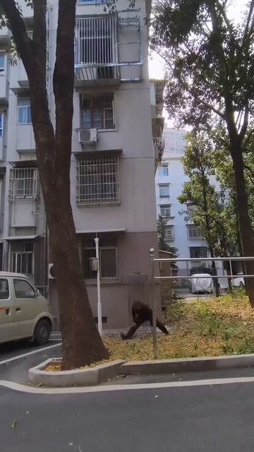 Удобно)