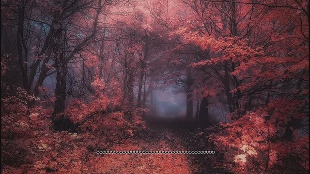 dj Feel - Feel