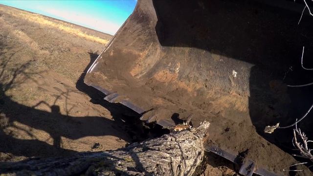 Шины "Satoya 20,5-25" на погрузчике "Амкодор". Подготовка целины к пахоте.