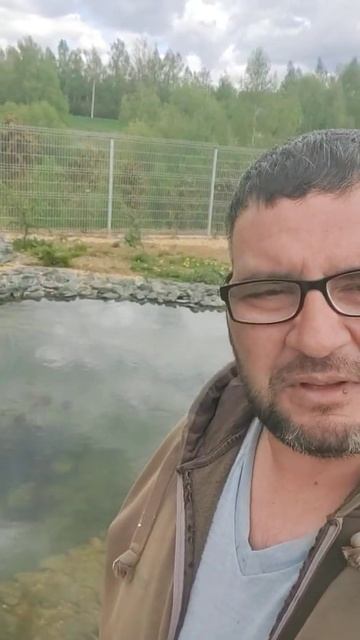 Начинаем строить декоративный пруд в саду.