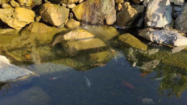 Краснодар  Водопады в Парке Галицкого