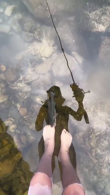 Идеальная наживка для рыбы