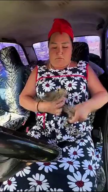 ха-ха-ха у ха-ха