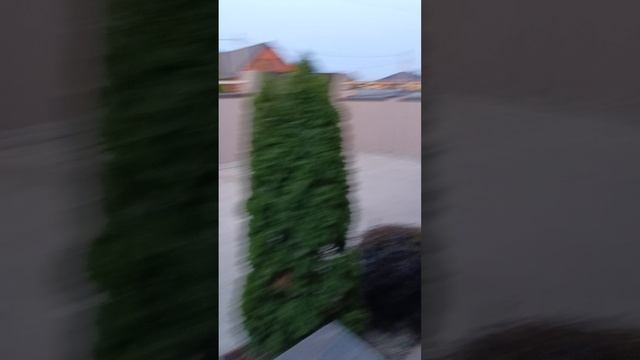 1000012269.mp4
