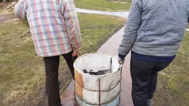 Зарыбление осетром Форелево-осетрового пруда 27.04.17