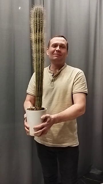 8 марта 2024 г.