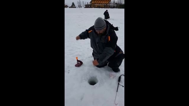 У нас клюёт налим!