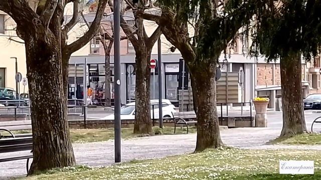 Италия. Цены выросли, семена фермерам: "один мешок в руки". Автобусный коллапс в нашем городе.