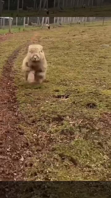 1000072179.mp4