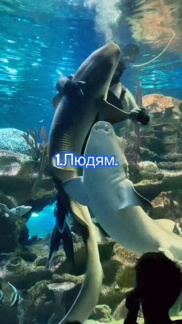 Не позволяй трём вещам