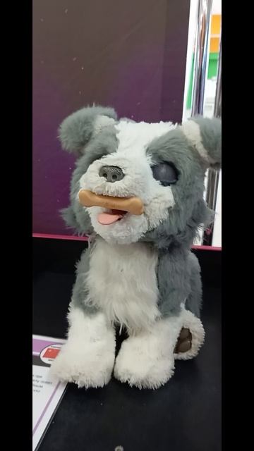 1000008317.mp4