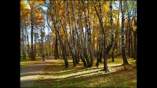 Дорога в осень. Вар. 2. Композ., аранж., автор фото Ю. Кучмаева