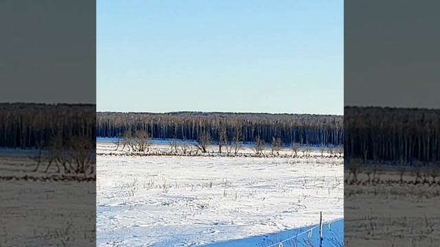 Сказочный природа зимы
