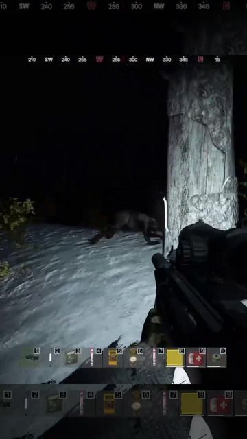 КУВЫРОК ХИМЕРЫ #дейз #gaming #dayz #stalkerrp #сталкер #stalker #dayzrp #mutant #shorts #shots #fun