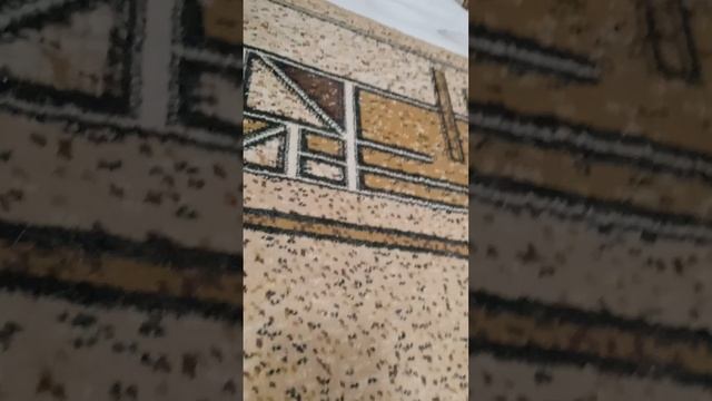Вика и Алиса и ее коты.