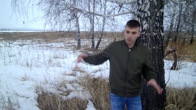Трезвые дворы