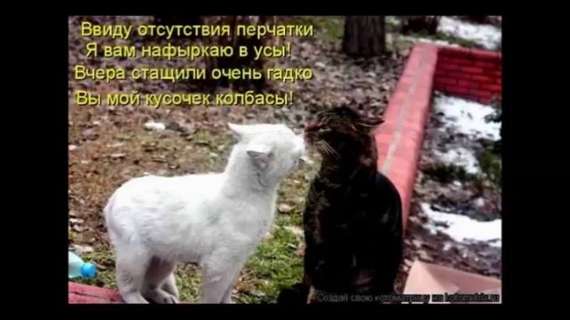 04 Еврейские анекдоты