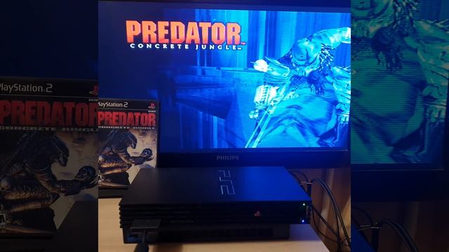 Test Predator concrete jungle