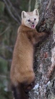 -Улыбнись миру и мир улыбнётся тебе ♥♥♥😊!!!!.😳 👍 👏