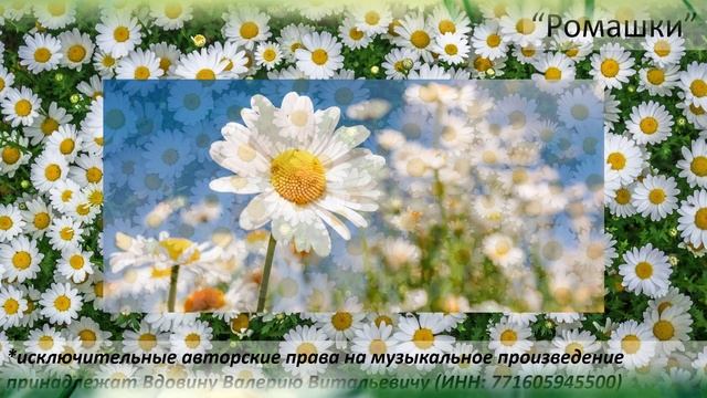 Ромашки