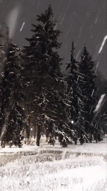 Красивая зима ❄🌲🤍