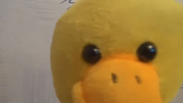 Весёлый утёнок