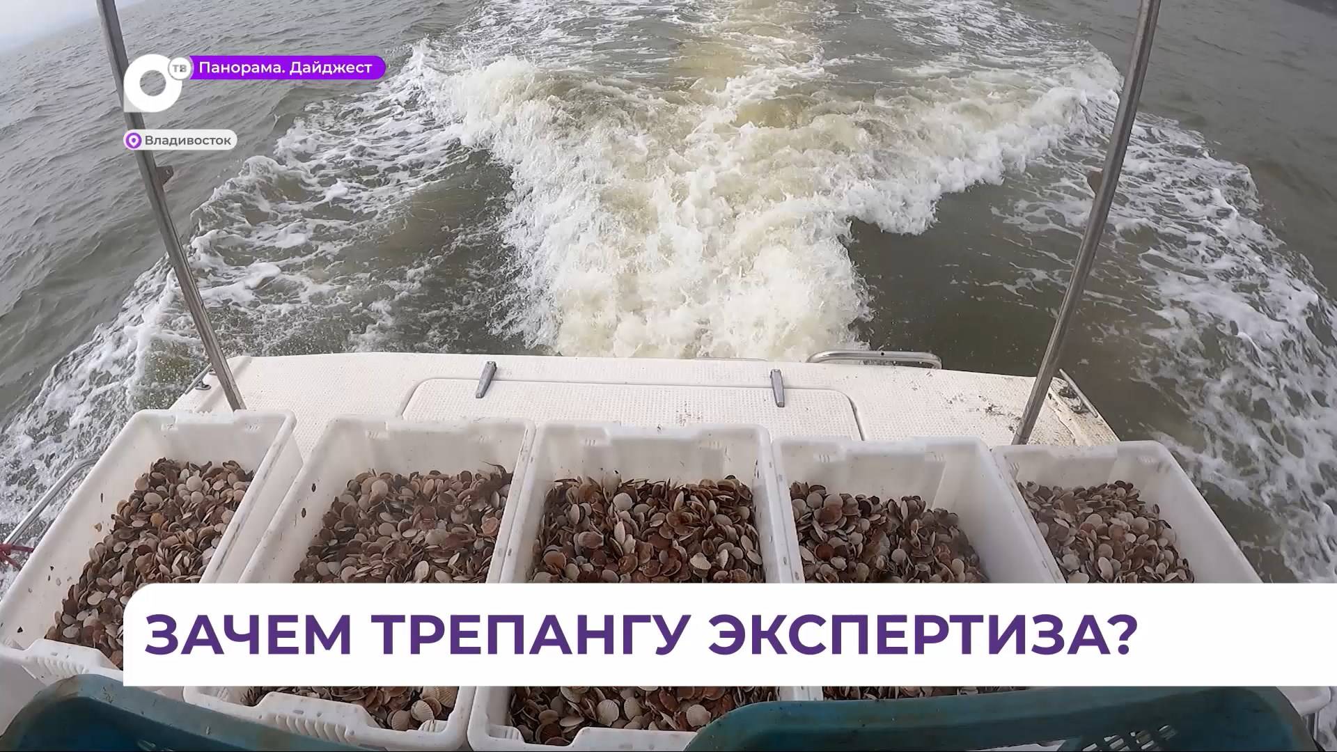 Приморские учёные не видят весомых доводов для госэкспертизы участков марикультуры