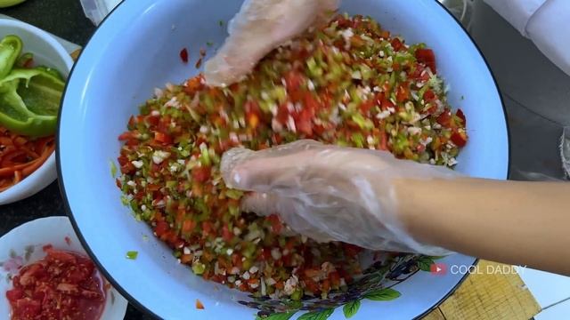 Chitir - Chitir Samosa | Cooking Crispy Vegetable Samosa | Famous Uzbek Street Food