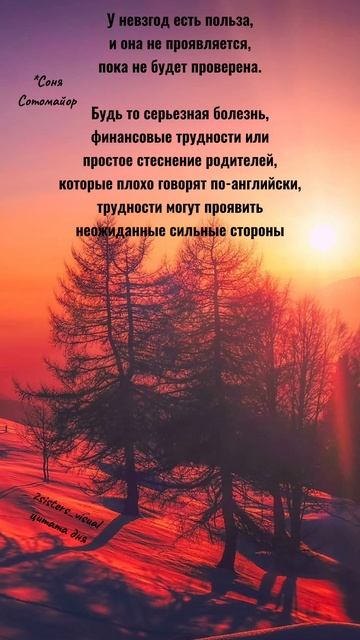 Цитата дня