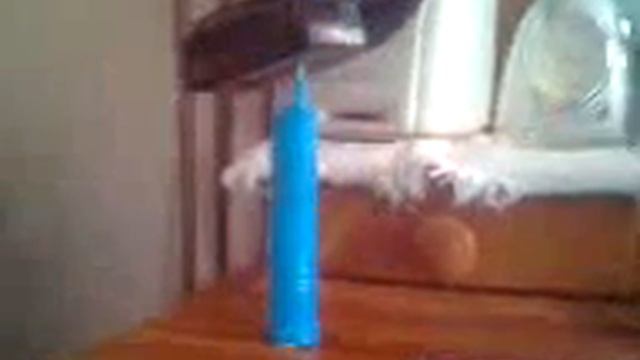 Electric toothbrush with comb stuck on it