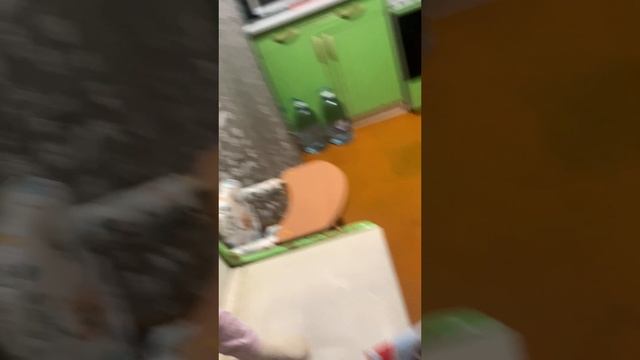 Как же я люблю сало и всё то что ест папа.