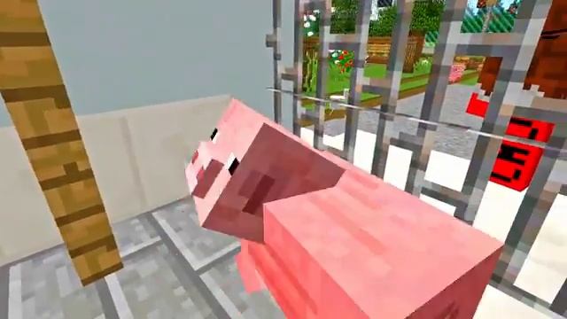 23-01-2025