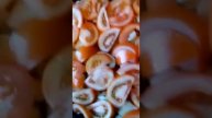 вновь выходные и балую родных вкусняшками! БИЗНЕС С ГАЛИНОЙ К WhatsApp +79537992391