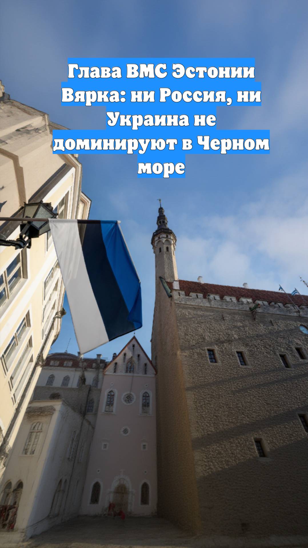 Глава ВМС Эстонии Вярка: ни Россия, ни Украина не доминируют в Черном море