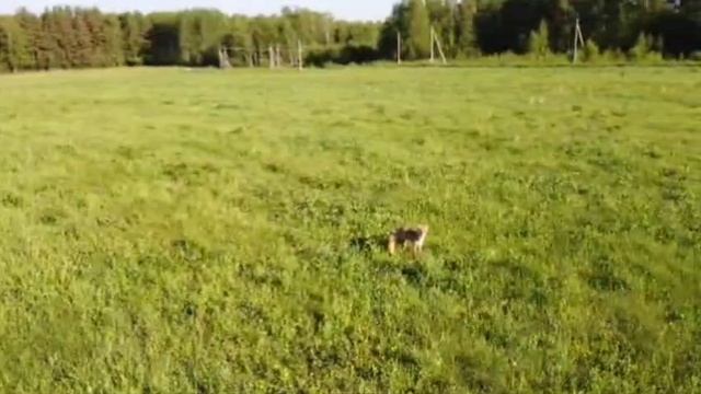 1000058321.mp4