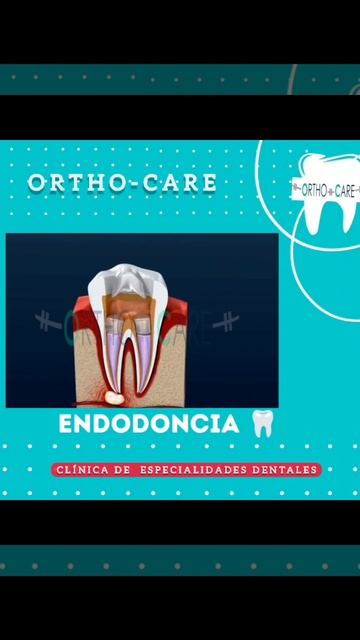ortho-care clinica de especialidades