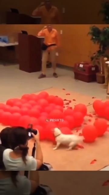 1000072175.mp4