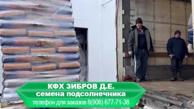 С завода забираем семена подсолнечника Санмарин (Sanmarin) 2022 год на посев в 2023 году